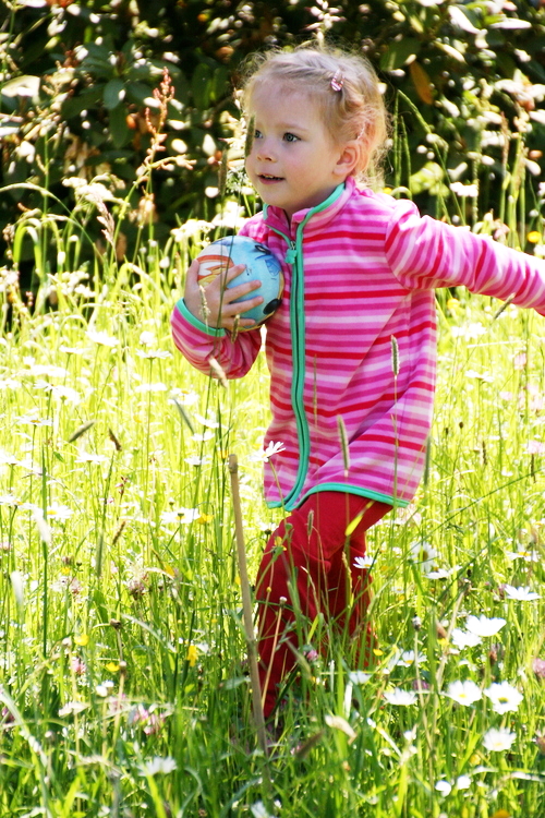 IMG_4586_RESIZED05_26_2014