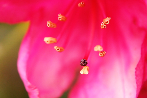 IMG_4769_RESIZED05_26_2014