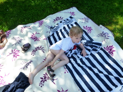 P1160045_RESIZED06_18_2014