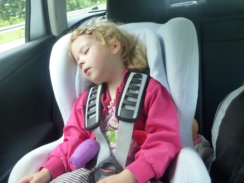 P1160764_RESIZED06_22_2014