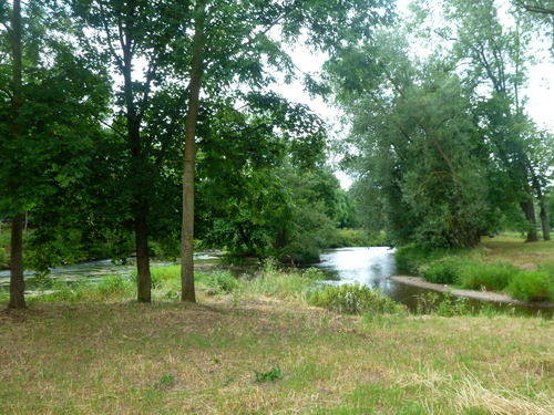 P1200390_RESIZED07_06_2014