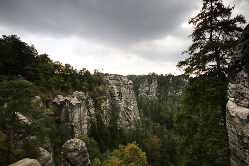 IMG_1955_RESIZED09_01_2014