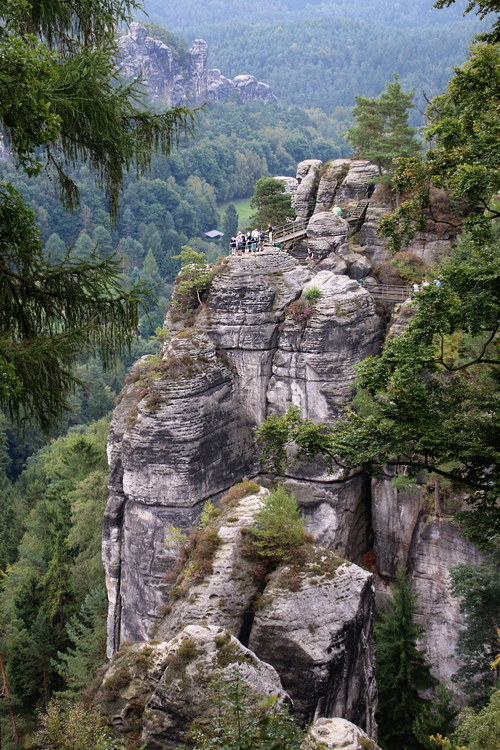 IMG_2008_RESIZED09_01_2014