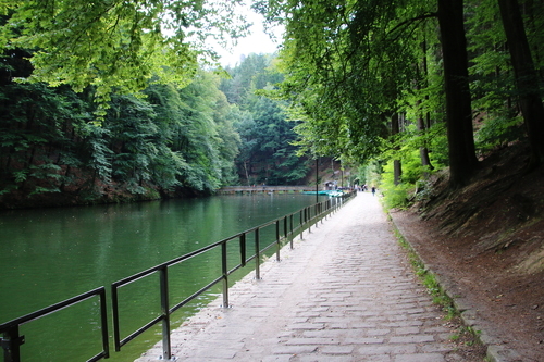 IMG_2093_RESIZED09_01_2014