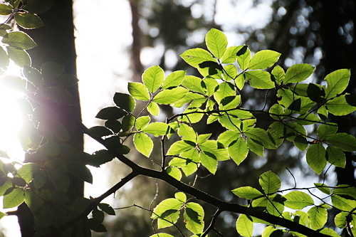 IMG_2103_RESIZED09_01_2014