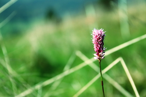 IMG_4132_RESIZED10_03_2014