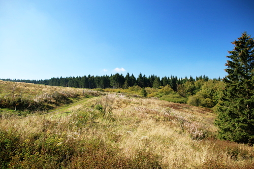 IMG_4140_RESIZED10_03_2014