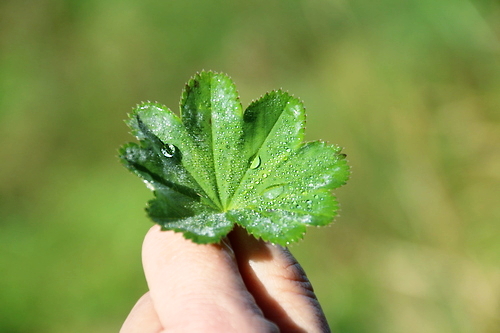 IMG_4141_RESIZED10_03_2014