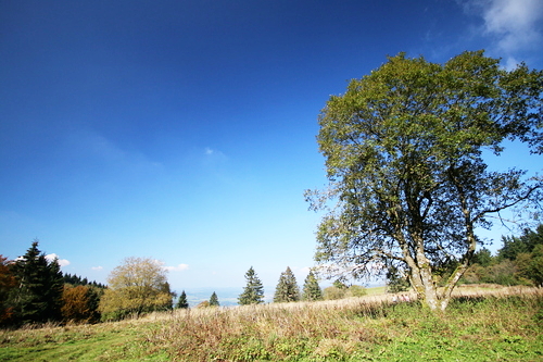 IMG_4152_RESIZED10_03_2014