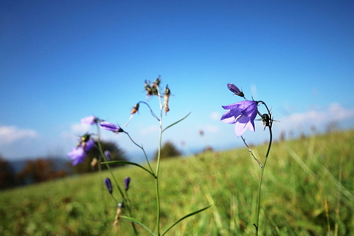 IMG_4161_RESIZED10_03_2014