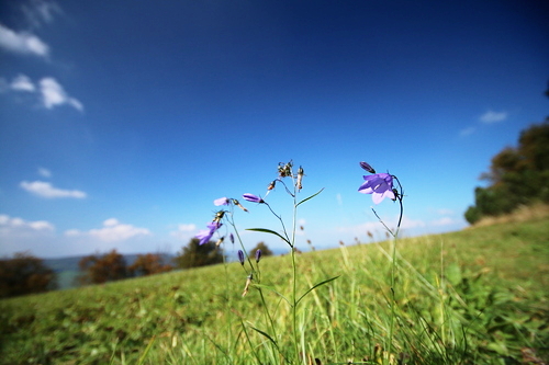 IMG_4162_RESIZED10_03_2014