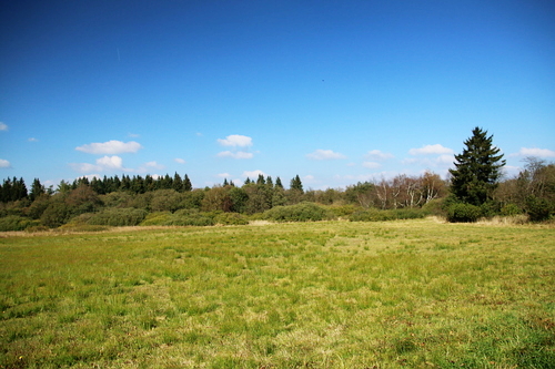 IMG_4193_RESIZED10_03_2014