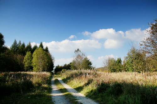 IMG_4201_RESIZED10_03_2014