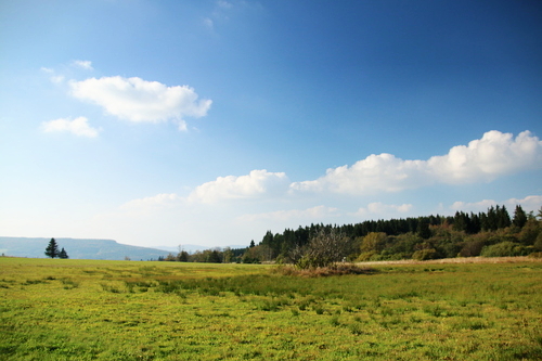 IMG_4218_RESIZED10_03_2014