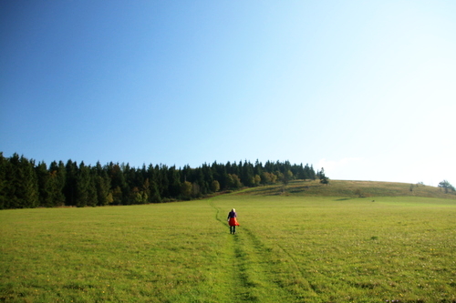 IMG_4226_RESIZED10_03_2014