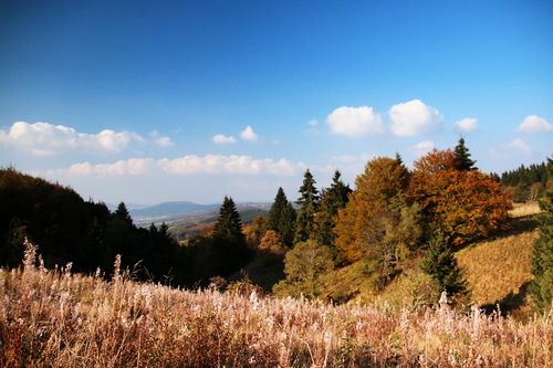 IMG_4244_RESIZED10_03_2014