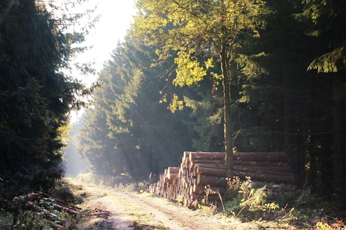 IMG_4252_RESIZED10_03_2014