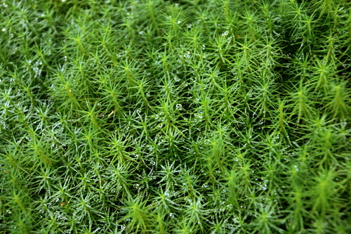 IMG_4257_RESIZED10_03_2014