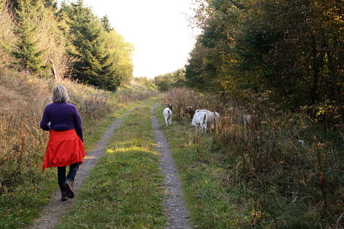 IMG_4268_RESIZED10_03_2014