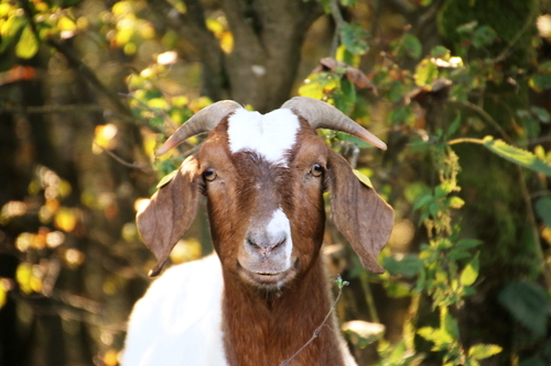 IMG_4270_RESIZED10_03_2014