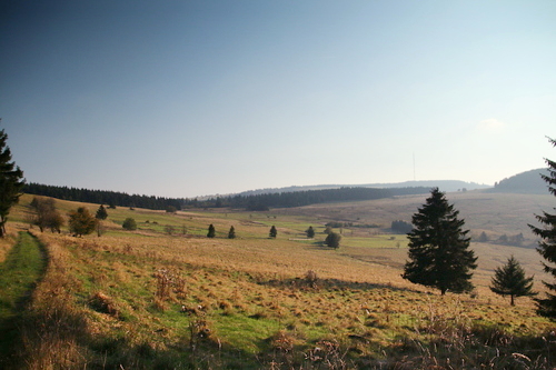 IMG_4274_RESIZED10_03_2014