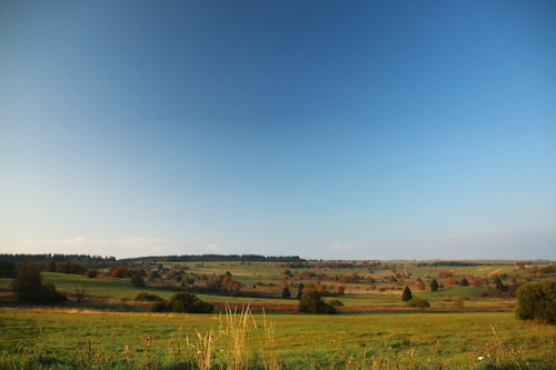 IMG_4313_RESIZED10_03_2014