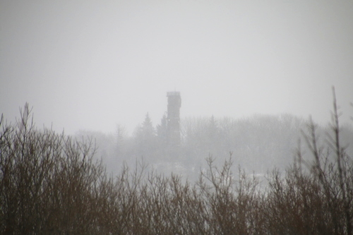 IMG_7648_RESIZED01_06_2015