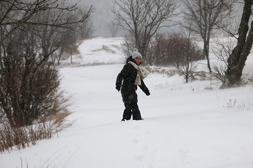 IMG_7660_RESIZED01_06_2015