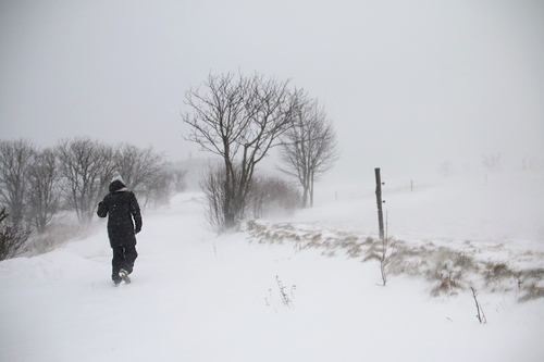 IMG_7665_RESIZED01_06_2015