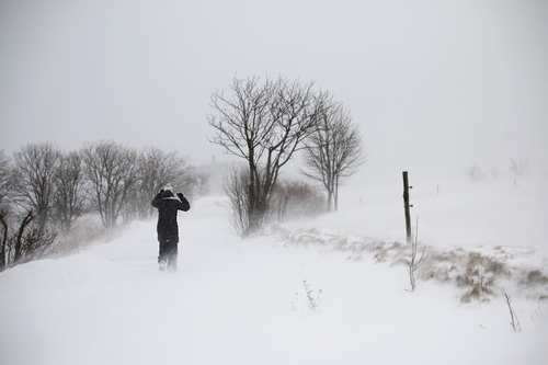 IMG_7666_RESIZED01_06_2015