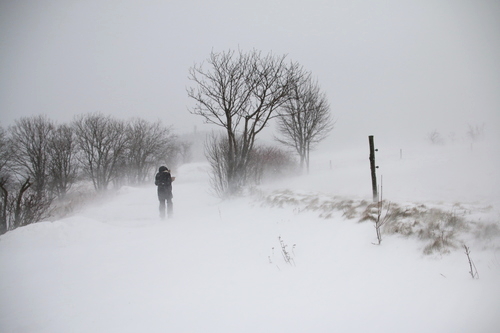 IMG_7667_RESIZED01_06_2015