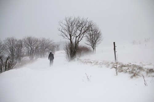 IMG_7668_RESIZED01_06_2015