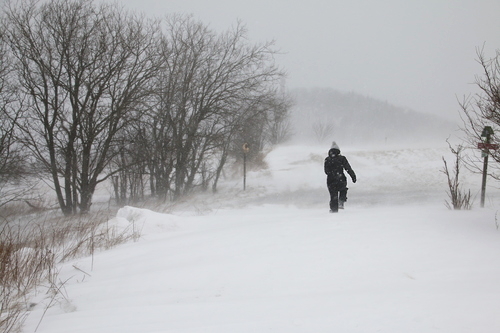 IMG_7672_RESIZED01_06_2015