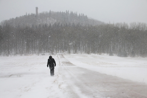 IMG_7695_RESIZED01_06_2015