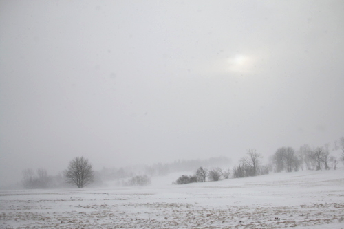 IMG_7708_RESIZED01_06_2015