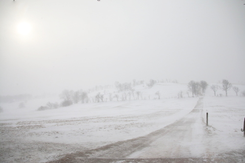 IMG_7712_RESIZED01_06_2015