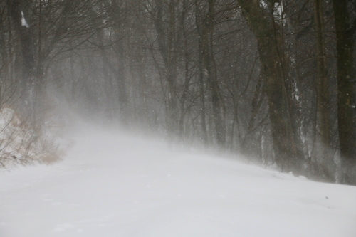 IMG_7754_RESIZED01_06_2015