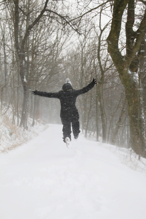 IMG_7762_RESIZED01_06_2015