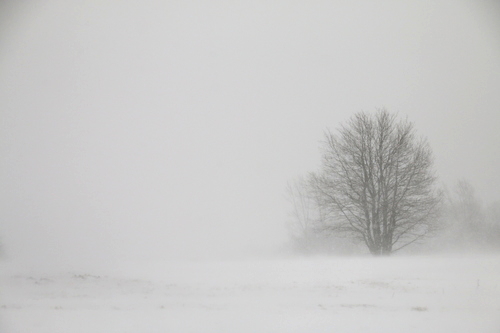 IMG_7793_RESIZED01_06_2015