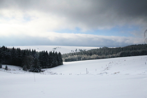 IMG_8346_RESIZED01_06_2015