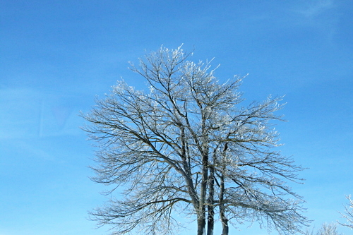 IMG_8397_RESIZED01_06_2015