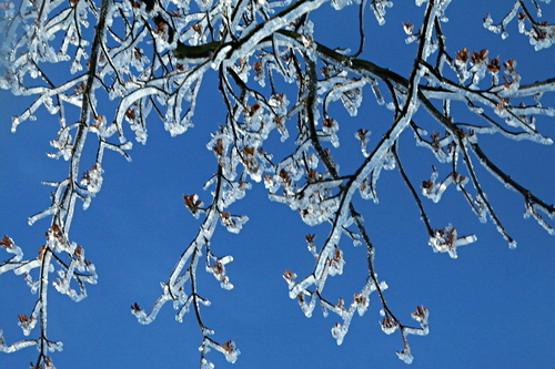 IMG_8411_RESIZED01_06_2015