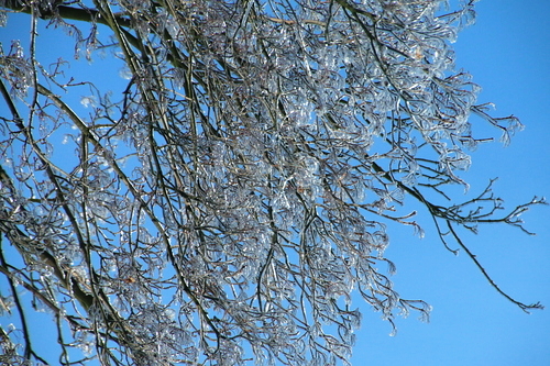 IMG_8425_RESIZED01_06_2015