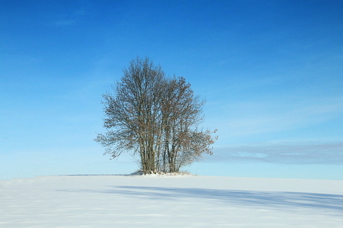 IMG_8442_RESIZED01_06_2015