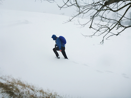 P1220028_RESIZED01_08_2015