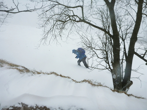 P1220031_RESIZED01_08_2015