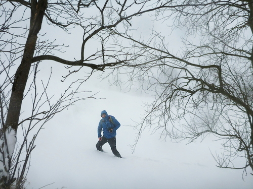 P1220032_RESIZED01_08_2015