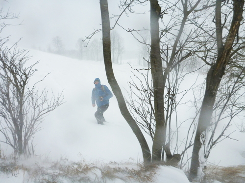 P1220033_RESIZED01_08_2015