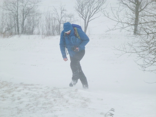 P1220042_RESIZED01_08_2015