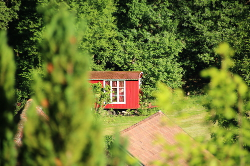 IMG_5578_RESIZED06_07_2015